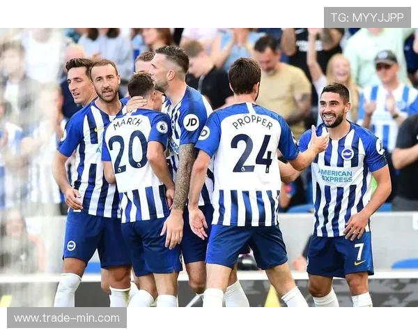 布莱顿防守体系 布莱顿防守体系