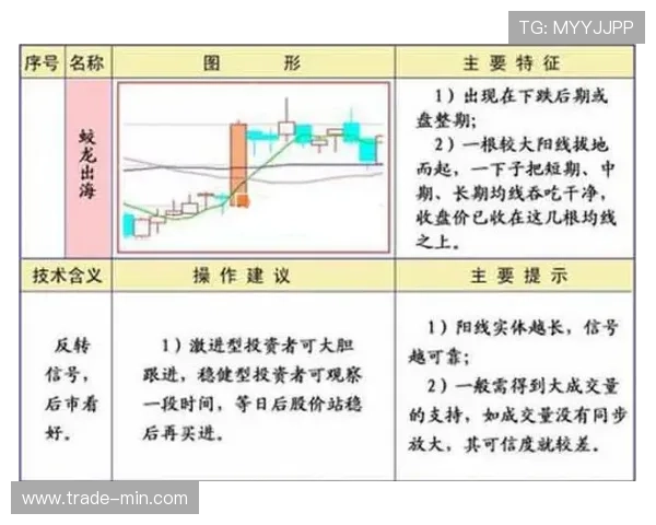 篮球规则中阻挡和带球撞人区别的具体判定标准全面解析